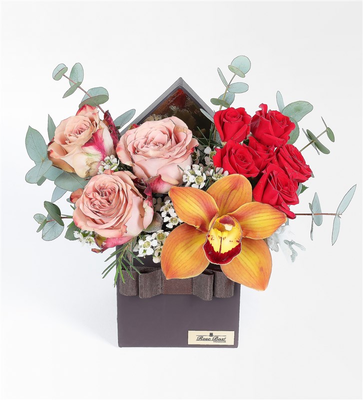 Capucino Gül, Cybidium Orkide ve Çardak Güler